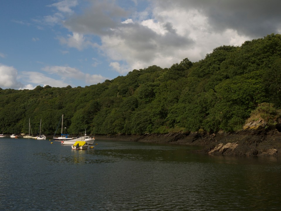 Upriver at Fowey